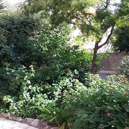 Central Avec Jardin Cannes Dış mekan fotoğraf