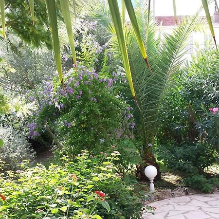 Central Avec Jardin Cannes Dış mekan fotoğraf