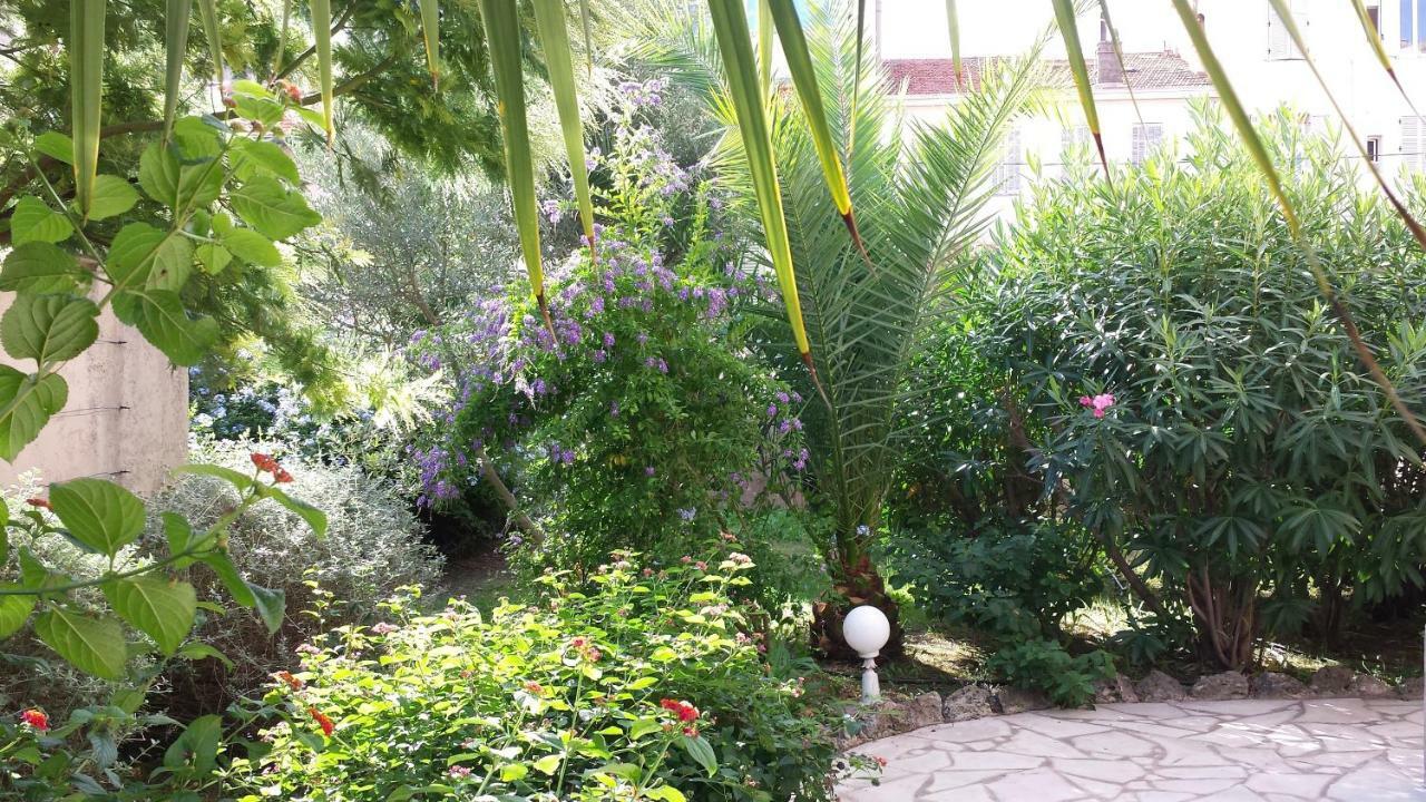 Central Avec Jardin Cannes Dış mekan fotoğraf
